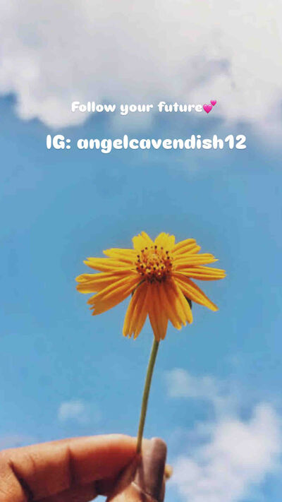 AngelCavendish 17