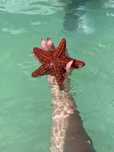 EvangelineWalker 127