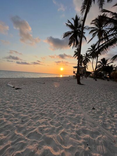 EvangelineWalker 114